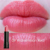Image of 12 Colors Moisturize Lip Stick Long Lasting Easy to Wear